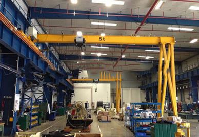 Evropský jeřáb Semi Goliath